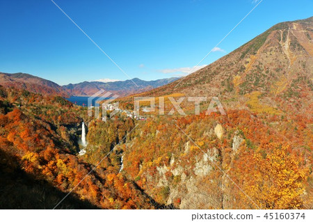 Tochigi Prefecture autumn sunlight 45160374