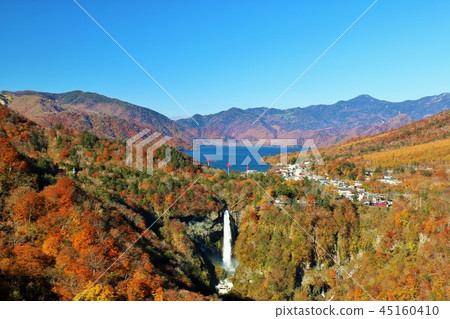 櫪木秋天的陽光 45160410