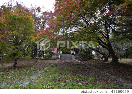 Seiryo-ji寺 Seiryo-ji寺 45160629