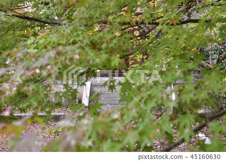 Seiryo-ji寺 45160630