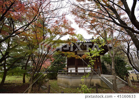 Seiryo-ji寺 Seiryo-ji寺 45160633