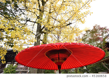 清泉寺 清泉寺 45160658