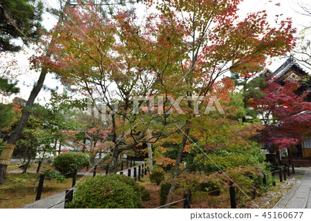 Seiryo-ji Temple 45160677