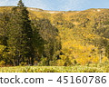 Autumn colored mountain skin 45160786