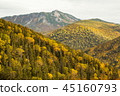I want to see Goro Kurobe on the mountain surface in autumn 45160793