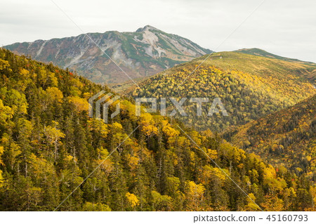 I want to see Goro Kurobe on the mountain surface in autumn I want to see Goro Kurobe on the mountain surface in autumn 45160793