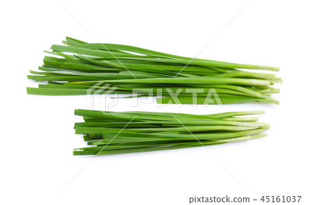 Chinese chives, Garlic chives isolated on white  45161037