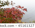  Autumn leaves and lake 45161327