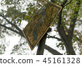 Dirty signs 45161328
