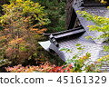 Autumnal leaves and temples 45161329