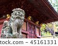 Guardian dog and shrine 45161331