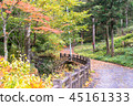 Autumn leaves road 45161333