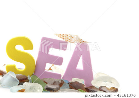 海草和貝類 - 夏季圖像 - 海草和貝類 - 夏季圖像 - 45161376