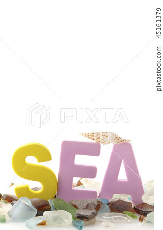 Seagrass and shellfish-summer image- 45161379