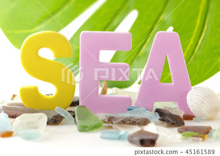 Seagrass, Shellfish and Monstera-Southern Country Image- Seagrass, Shellfish and Monstera-Southern Country Image- 45161589