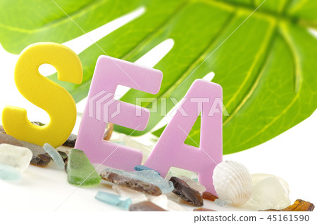 Seagrass, Shellfish and Monstera-Southern Country Image- Seagrass, Shellfish and Monstera-Southern Country Image- 45161590