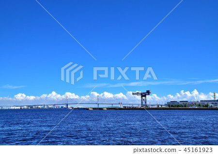 在橫濱港和Purisan橋上建造的鎚頭起重機漂浮在海中 45161923