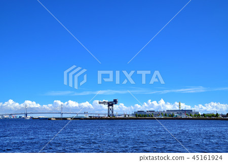 在橫濱港和Purisan橋上建造的鎚頭起重機漂浮在海中 在橫濱港和Purisan橋上建造的鎚頭起重機漂浮在海中 45161924