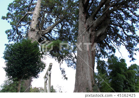 Naike Park Naike Park 45162425