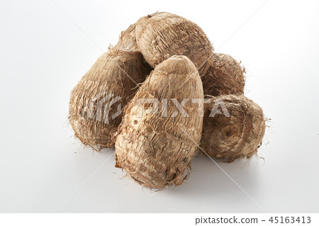 Taro (taro) 45163413