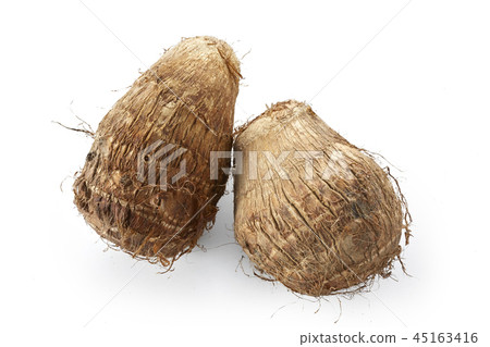 Taro (taro) 45163416