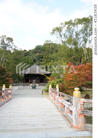 Autumn white water Amidado Autumn white water Amidado 45163439