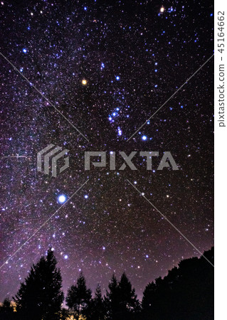 獵戶座和流星 45164662