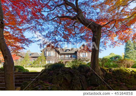 西式建築和老古河花園的彩葉 45164858