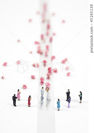 The bride and the guests The bride and the guests 45165139