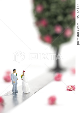 Bride and bride on flower path 45165142
