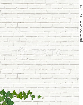 Background-Brick-White-Wall-Moss-Leaf 45165291
