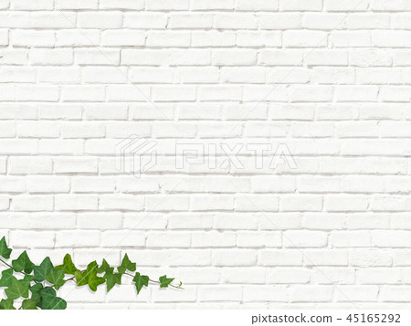 Background-Brick-White-Wall-Moss-Leaf 45165292