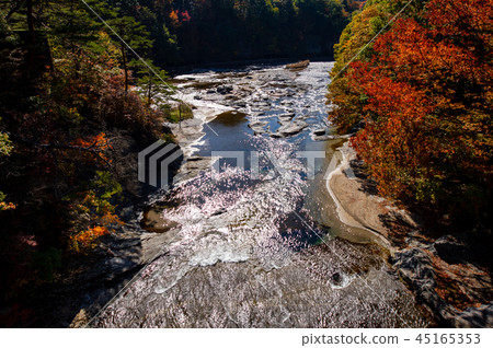 秋天的葉子和清澈的溪流Fukiware谷Senjojiki從Fukiware橋b 45165353