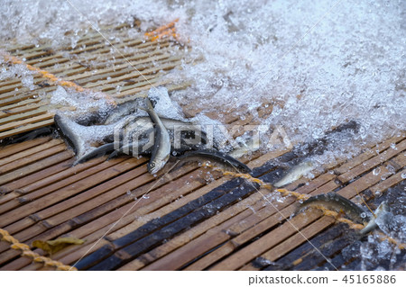 Tan fishing and fallen salmon incense fish Tan fishing and fallen salmon incense fish 45165886