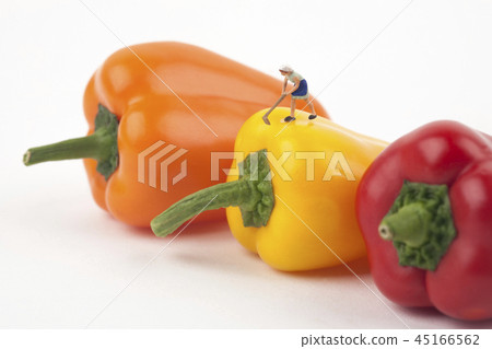 有辣椒粉的微型人 有辣椒粉的微型人 45166562