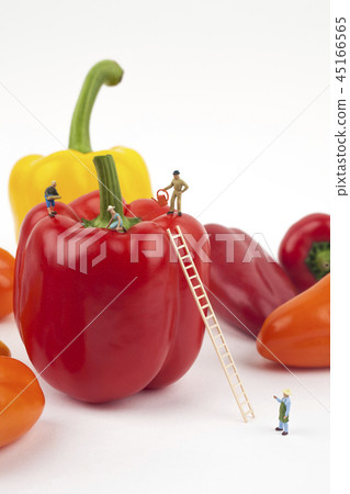 辣椒粉和微型人 辣椒粉和微型人 45166565