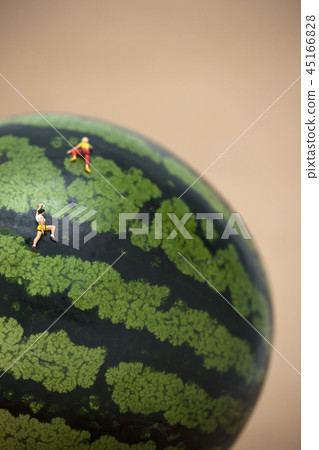 微型人爬西瓜 微型人爬西瓜 45166828