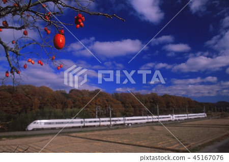 Late autumn Fukuchiyama Line 45167076