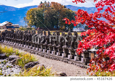 << Chino City, Nagano Prefecture >> Stunning autumn leaves << Chino City, Nagano Prefecture >> Stunning autumn leaves 45167426