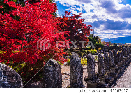 << Chino City, Nagano Prefecture >> Stunning autumn leaves << Chino City, Nagano Prefecture >> Stunning autumn leaves 45167427