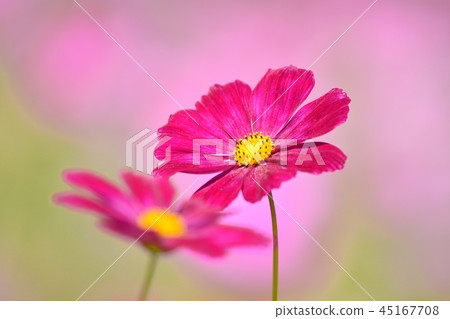 宇宙領域 宇宙領域 45167708