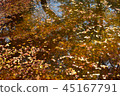 45167791