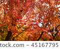 45167795