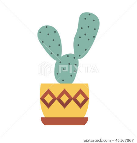 Home Cactus Icon 45167867