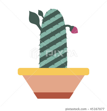 Home Cactus Icon 45167877