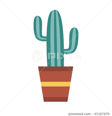 Home Cactus Icon 45167879