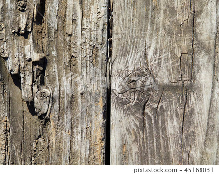Old wood up Old wood up 45168031