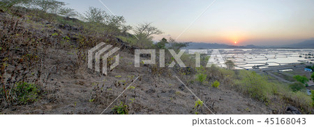 View from the hills with rice fields and mountain View from the hills with rice fields and mountain 45168043