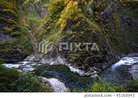 Seitokyo的柱狀接頭 45168943