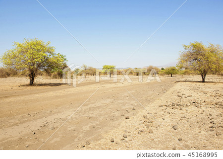 Landscape view of Savanna on Doro Ncanga 45168995